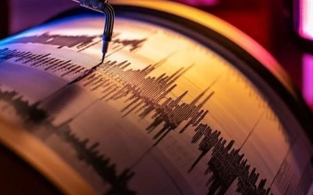 Tunceli 4,2 ile sallandı Naci Görür uyardı: "Depremin yeri tehlikeli, tetikleme olasılığı var"