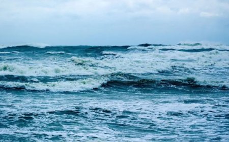 Ağır makineler Pasifik tabanını deldi. Madencilik testlerinin yıkıcı etkileri açığa çıktı