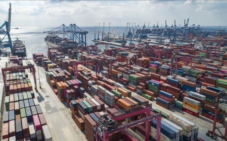 Türkiye'de 45 ilin ihracatı arttı