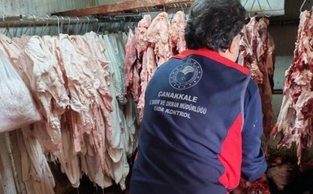 Çanakkale'de gıda işletmelerine ceza