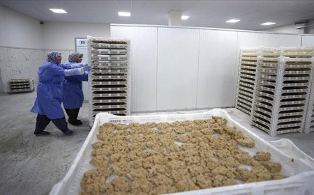 Malatya tarhanası ihracata hazırlanıyor