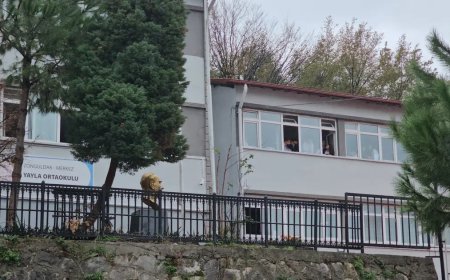 "Çocuğumu azarladı" dedi, İngilizce öğretmenine saldırdı