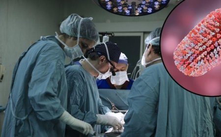 SON DAKİKA HABERLERİ: Kuduzdan ölen kişinin organı nakledildi, bir ölüm daha geldi! İhmal mi?