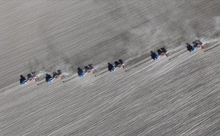 Tohum sektörü iklim değişikliğine dayalı üretime odaklandı