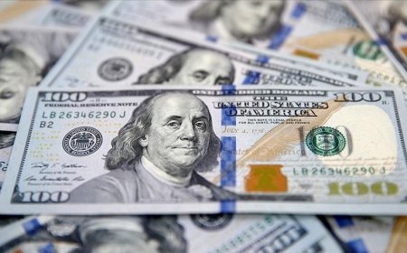 Türkiye'ye 11,6 milyar dolarlık uluslararası doğrudan yatırım girişi oldu