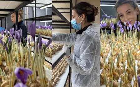 Mesleğinden vazgeçti, üretimine başladı! Gramı 700 liradan satılıyor: Risklerle karşı karşıyasınız