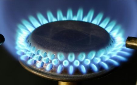 Türkiye'nin doğal gaz ihracat potansiyeli özel sektörün etkin katılımıyla artabilir