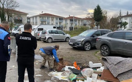 Hem ceza yedi, hem kirlettiği alanı temizledi