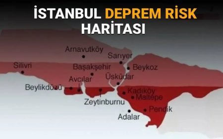 Uluslararası bilim ekibi İstanbul depremi için riskli bölgeyi işaret etti. "Sessiz segment depremin ana kaynağı olabilir"