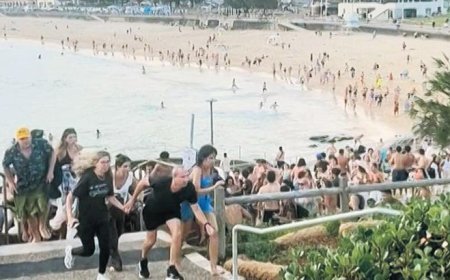 Plajı kana buladılar!