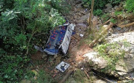 SON DAKİKA HABERLER: Kolombiya'da feci olay! Okul otobüsü kaza yaptı, çok sayıda ölü var