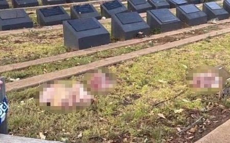 Avustralya’da İslam karşıtı provokasyon! Müslüman mezarlığına domuz kafaları bırakıldı