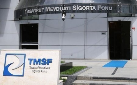 TMSF, Uluslararası Mevduat Sigortacıları Birliği'nin icra kurulu üyesi oldu