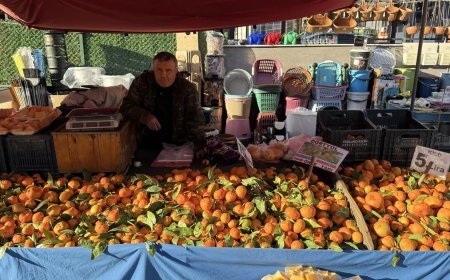 Pazarın en ucuz meyvesi oldu. Kilosu 5 liraya kadar düştü
