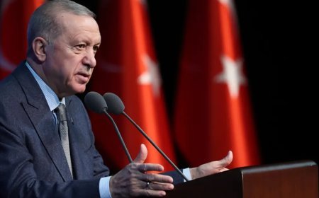 Cumhurbaşkanı Erdoğan: Karadeniz'de sivil gemiler hedef alınmamalı