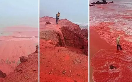 Dünyaca ünlü ada kırmızıya büründü! İşte nedeni