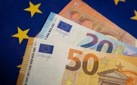 SON DAKİKA HABERLER: Komşuda sokaklar kaynıyor, işletme ve çalışan yükü artabilir! Euroya geçişte geri sayım: 'hükümet krizde'