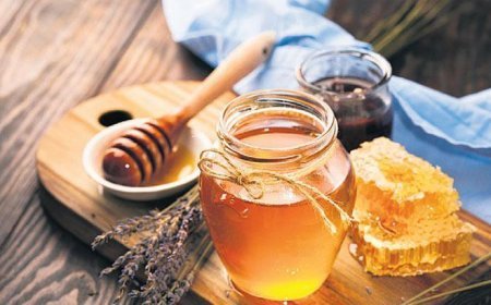 ‘Gerçek bal 650 TL’den aşağı olmaz’