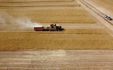 Çiftçilere 2 milyar lira tarımsal destekleme ödemesi bugün yapılacak