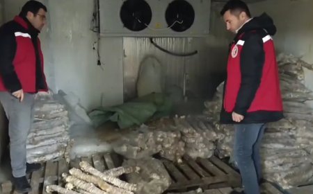 Manisa’da değeri 4 milyon lira olan bozulmuş kokoreç ele geçirildi