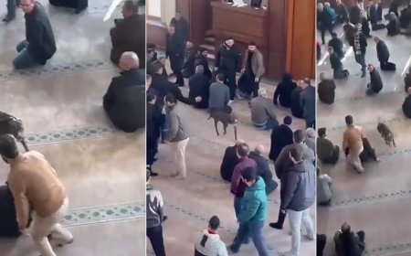 Cuma vaazı sırasında camiye pitbullun girdiği anlar kamerada