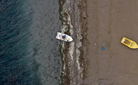 Sapanca Gölü alarm veriyor. Su çekildi, sahil sessizleşti