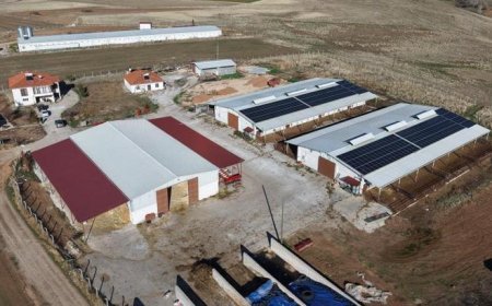 Yüzde 60 hibe desteğiyle çiftlik kurdu: Devlet olmasaydı hayal bile edemezdik