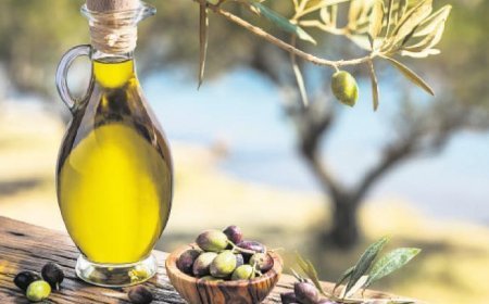 Zeytinyağında ‘enflasyon hedefi’ düzeltmesi geldi
