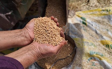 TMO'nun stokları Türkiye'nin ihtiyaçlarını karşılayacak seviyede