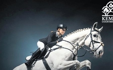 Eğlence dolu hafta sonu