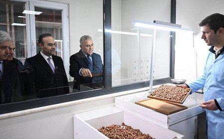 Sakarya’da 52 milyon dolarlık dev proje: Fındık kabuğundan aktif karbona