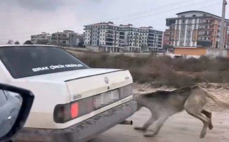 Köpeği aracın arkasına bağlayarak eziyet etti