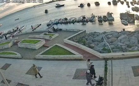 Oltasındaki balığa yaklaşan kediyi tekmeleyip denize fırlattı