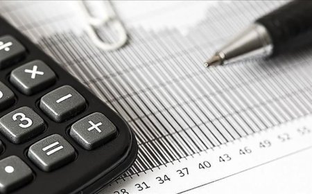 Hizmet Üretici Fiyat Endeksi kasımda arttı