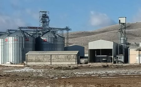 TMO'yu 500 milyon lira dolandırıp yurt dışına kaçtı. 9 şüpheli gözaltında