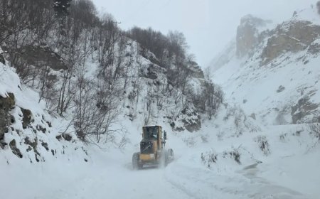 Artvin'de çığ düştü. "Üç çoban aranıyor"