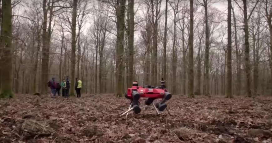 Robot köpek ormanlarda görevde gerisini kurtlar düşünsün