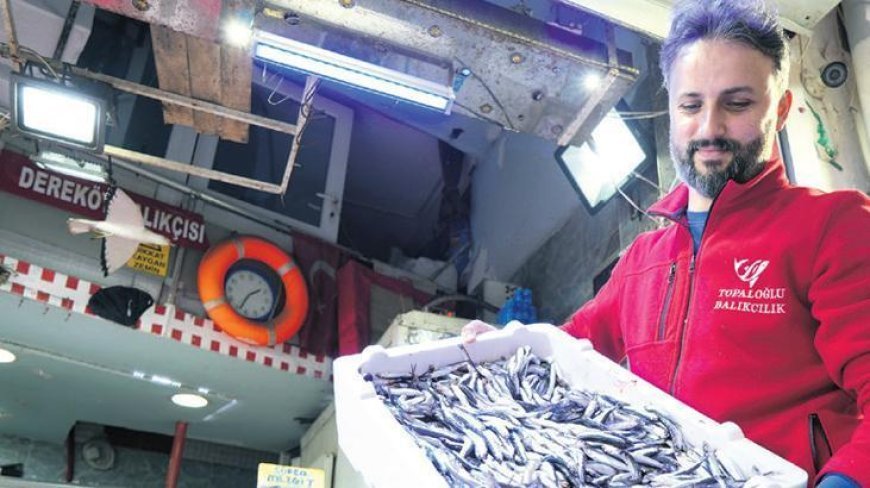 Hamsi yüz güldürdü