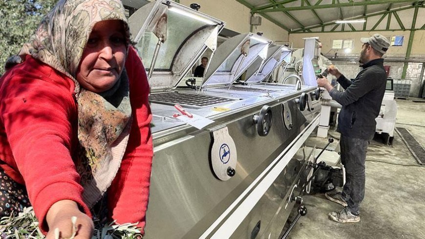 Muhtar fabrika kurup tüm mahalleyi işe aldı! ‘Tesisten önce iş için başka illere gidiyordum’