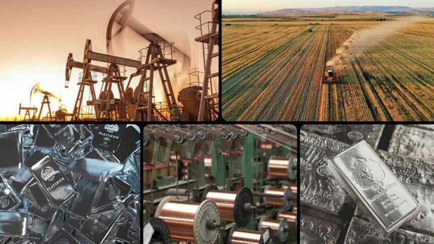 Altın ve 2 değerli metalde tarihi zirve! Piyasalarda 'rekor' haftası