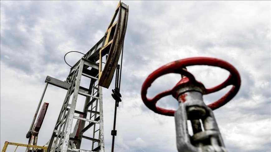 Türkiye'nin petrol ithalatı ekimde arttı