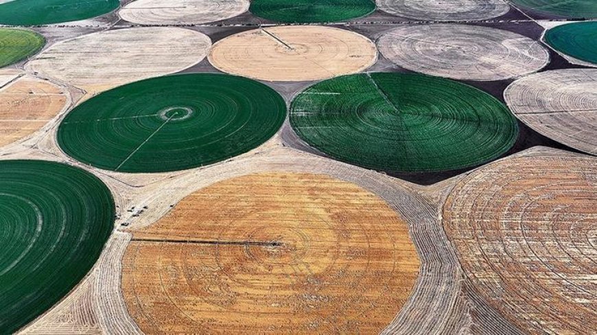 Bazı tarım ürünlerinin azami depolama süreleri uzatıldı