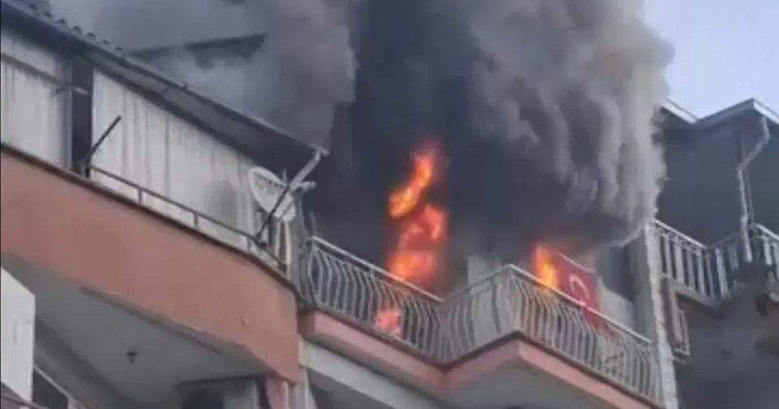 Manisa'da alevler evi sardı, altı kedi öldü