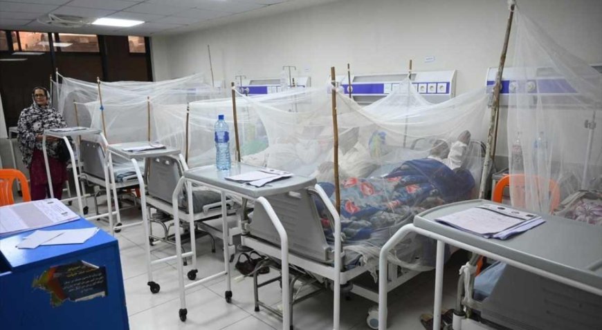 SON DAKİKA HABERLER: Virüsler tüm ülkeyi sardı! Kalıcı yürüme güçlüğüne neden oluyor: Çaresi bulunamıyor