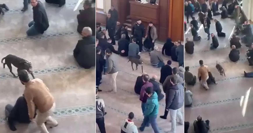 Cuma vaazı sırasında camiye pitbull girdi