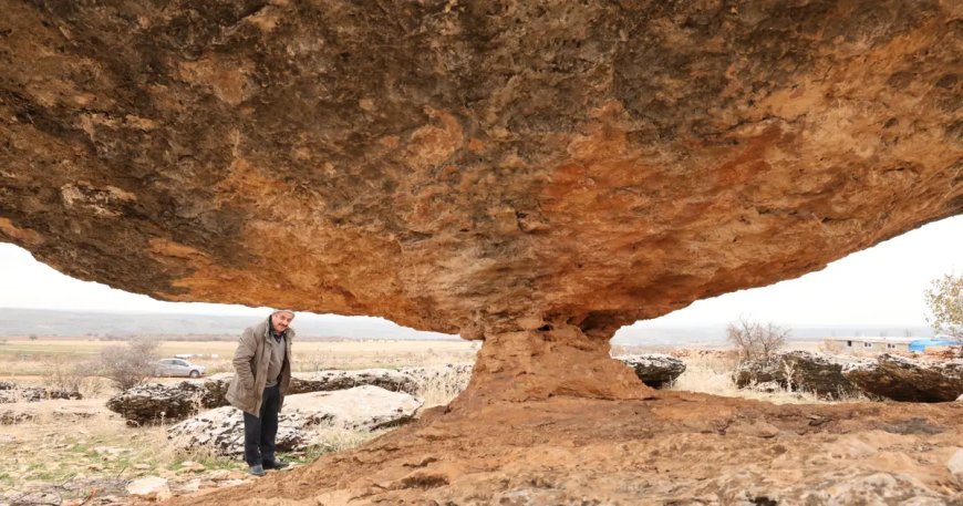 6 milyon yıl önceye ait. Diyarbakır'da kalıntısı ortaya çıktı