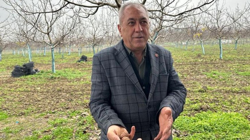 Dönümü 500 bin lira! İş adamları ve gençlerin ilgisini çekti, yatırım için geliyorlar