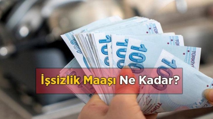 İşsizlik Maaşı Ne Kadar? 2026 İşsizlik Maaşı Ne Kadar Oldu?