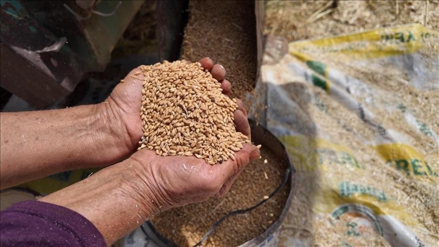 TMO'nun stokları Türkiye'nin ihtiyaçlarını karşılayacak seviyede