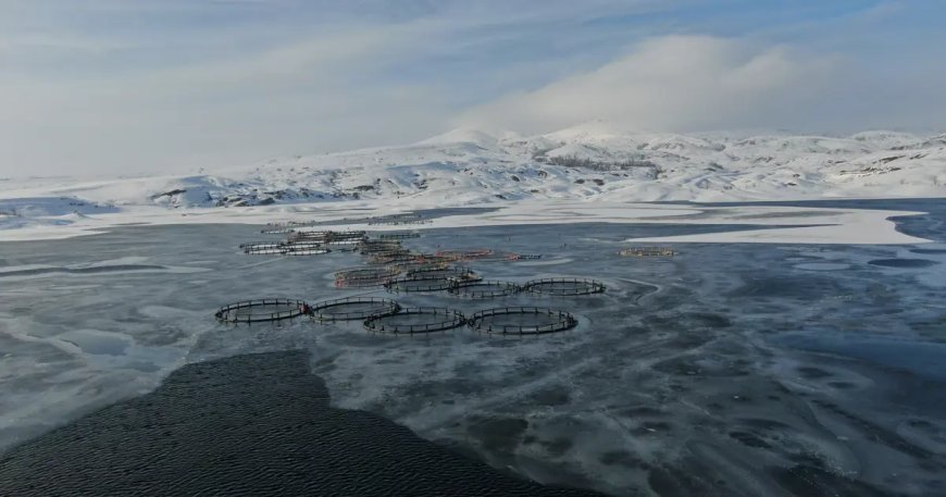 Bir ilçe adeta dondu. Türkiye'nin en soğuk yeri